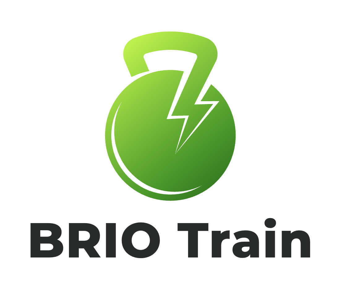 BRIO Train Set Official Website